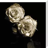 Circus Roses Canvas Art Print by Michael Harrison