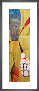 Galapagos Framed Art Print by Rex Ray