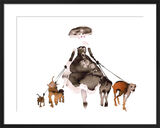 What to Wear When Walking the Dogs 2 by Bridget Davies