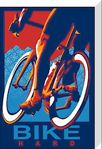 Bike Hard Canvas Art Print by Sassan Filsoof