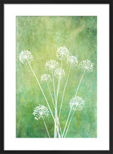 Spring Skies Framed Art Print by Doug Chinnery