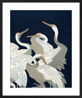 Cranes Framed Art Print by V&A Japan