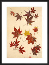 Red leaves Framed Art Print by V&A Japan