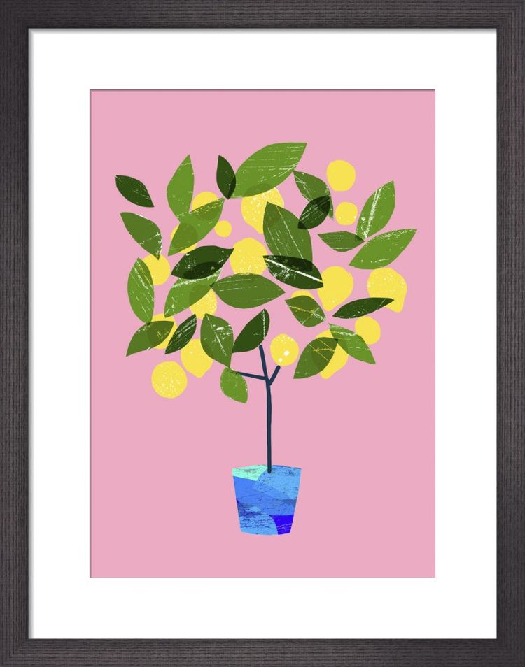Meyer Lemon Tree by Ana Zaja Petrak