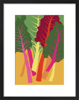 Rainbow Chard Framed Art Print by Ana Zaja Petrak