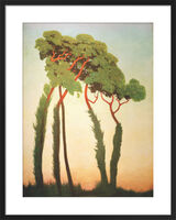 Derniers Rayons, 1911 Framed Art Print by Félix Vallotton