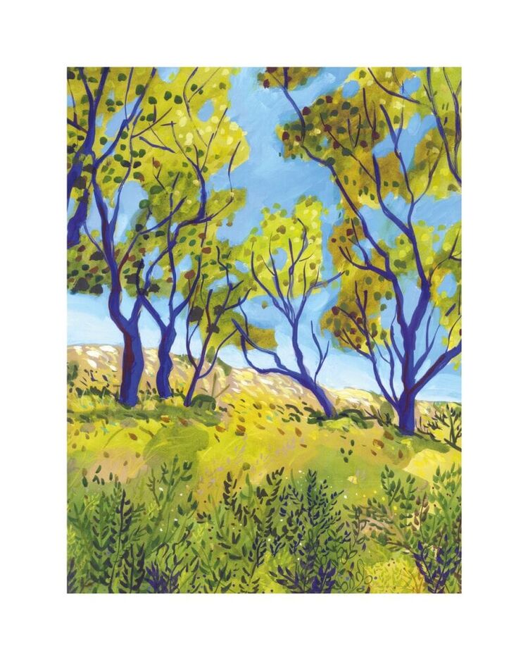 Oak Trees Canvas Art Print by Marta Chojnacka
