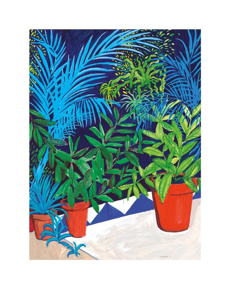 Patio in Barcelona with terracotta pots Canvas Art Print by Marta Chojnacka