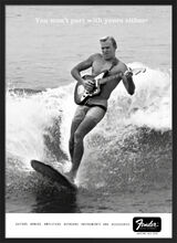 Fender Campaign Posters