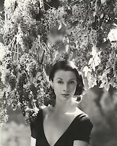 Vivien Leigh, Vogue August 1946 Framed Art print by Cecil Beaton