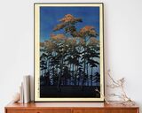 Hikawa Park Framed Art Print by Hasui Kawase