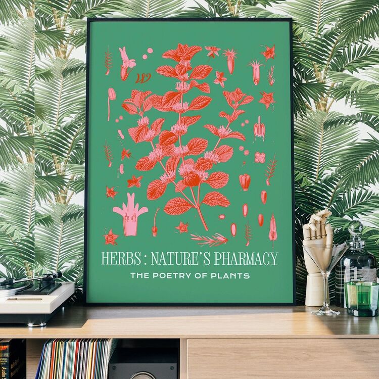 Poetry of Plants Pink & Green Botanical Framed Print