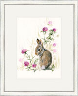 In the Pink - Leveret Framed Limited Edition Art Print by Kay Johns