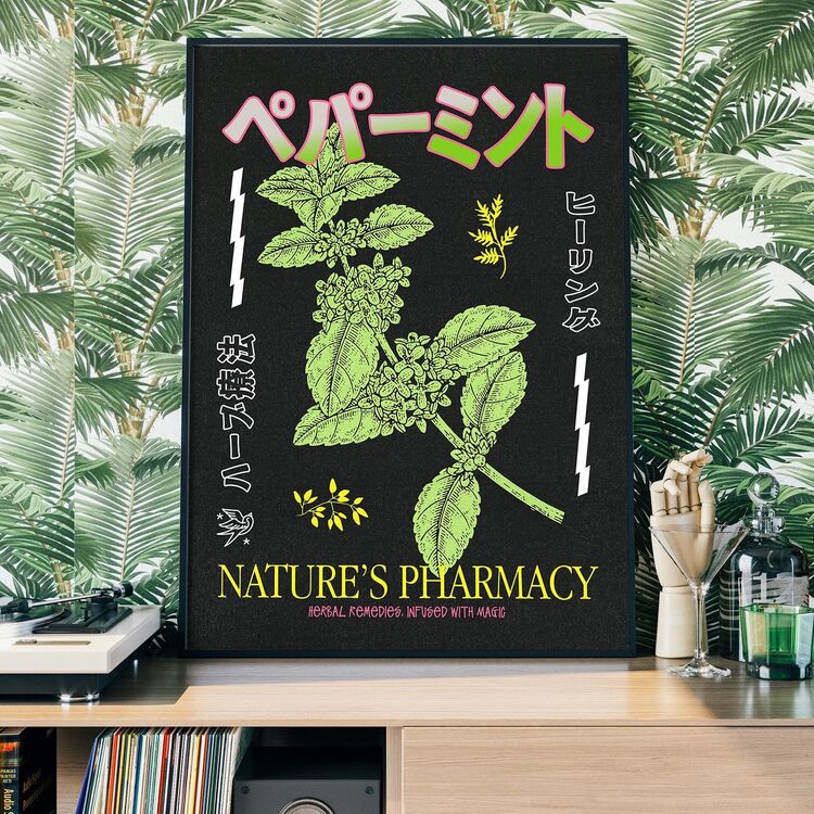 Japanese Nature's Pharmacy Poster Framed Print