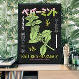 Japanese Nature's Pharmacy Poster Framed Print