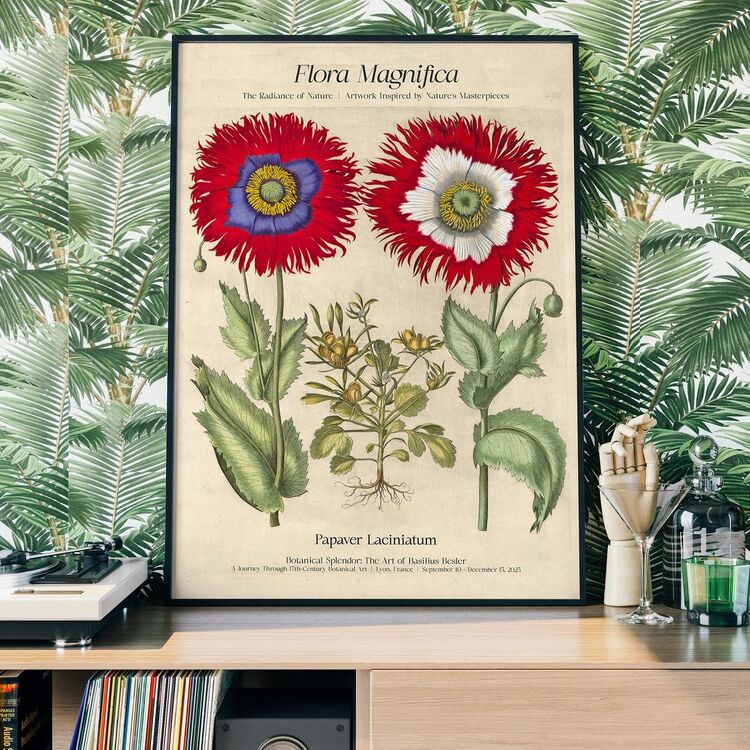 Flora Magnifica Poppy Poster Framed Print