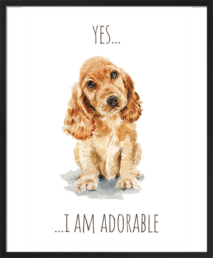 Golden Cocker Spaniel Framed Art Print by Louise Nisbet