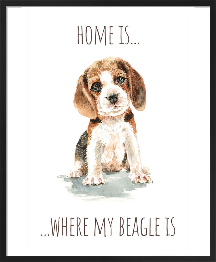 Beagle Framed Art Print by Louise Nisbet