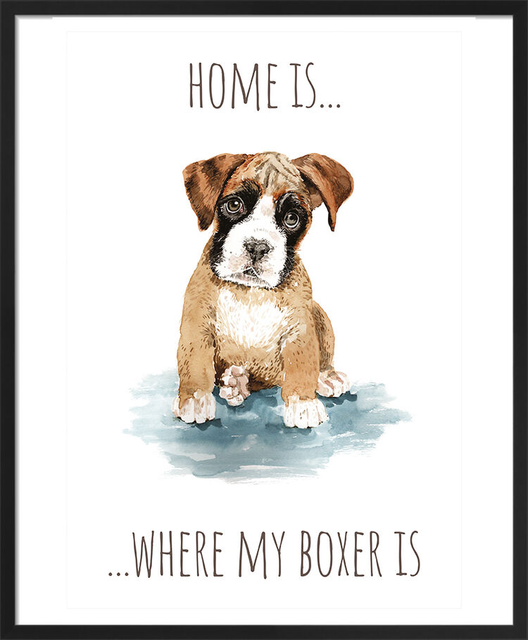 Boxer Framed Art Print by Louise Nisbet