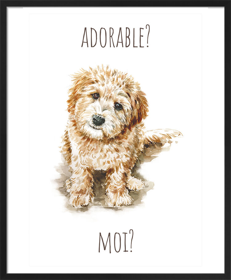 Labradoodle Framed Art Print by Louise Nisbet