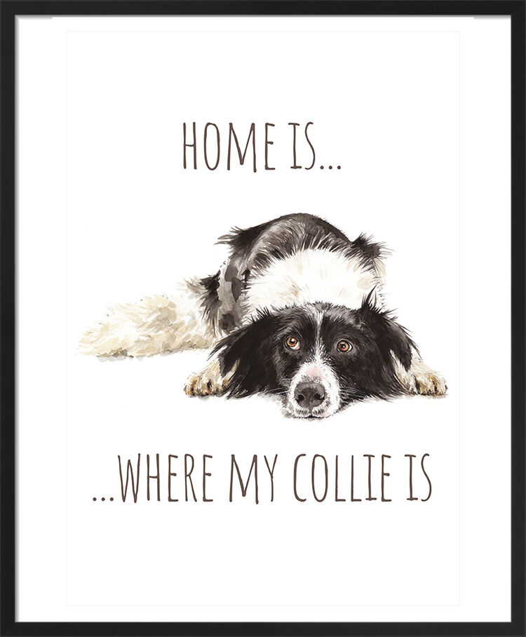 Border Collie Framed Art Print by Louise Nisbet