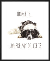 Border Collie Framed Art Print by Louise Nisbet