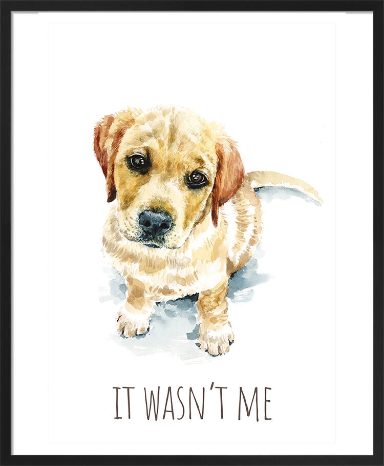 Golden Retriever Framed Art Print by Louise Nisbet