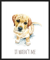 Golden Retriever Framed Art Print by Louise Nisbet