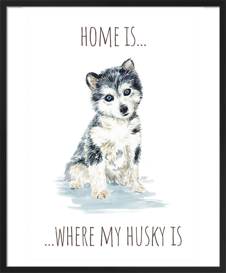 Husky Framed Art Print by Louise Nisbet