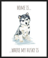 Husky Framed Art Print by Louise Nisbet
