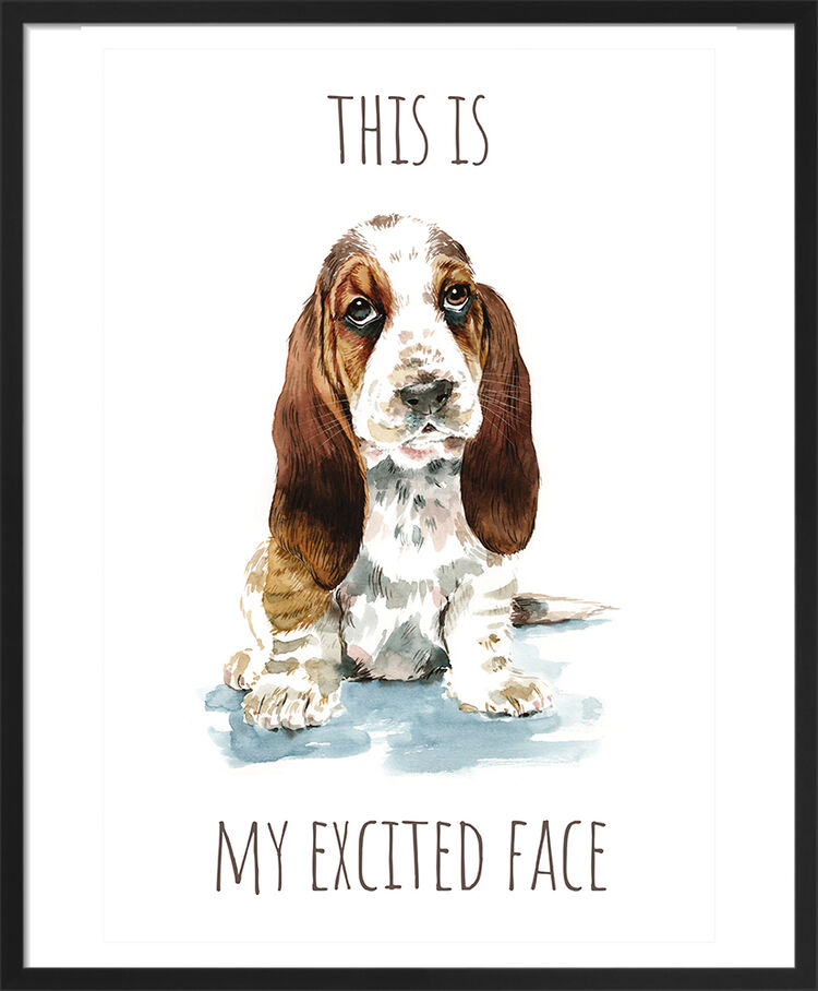 Basset Hound Framed Art Print by Louise Nisbet