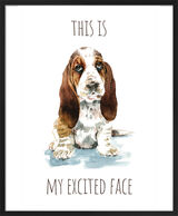 Basset Hound Framed Art Print by Louise Nisbet