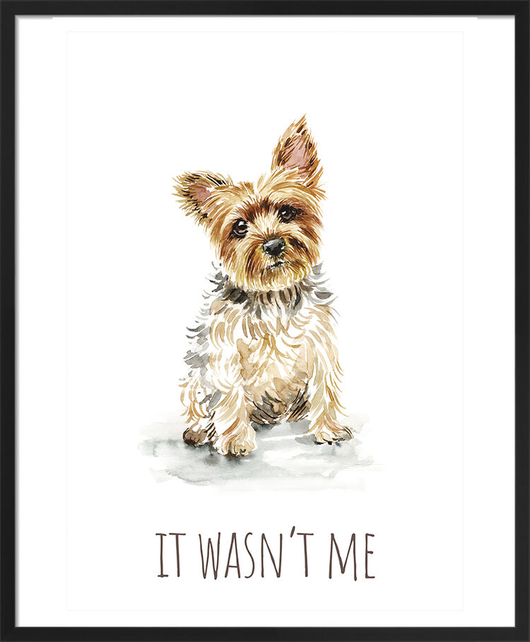 Yorkshire Terrier Framed Art Print by Louise Nisbet