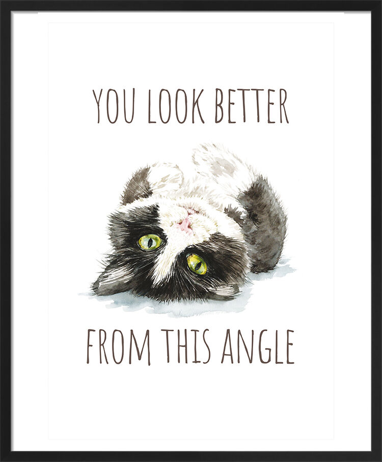 Black and White Cat Framed Art Print by Louise Nisbet