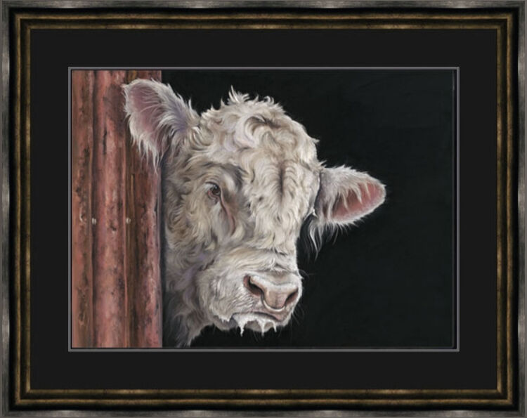 Allo, Allo - Charolais Bull Framed Limited Edition Art Print by Kay Johns