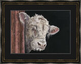 Allo, Allo - Charolais Bull Framed Limited Edition Art Print by Kay Johns
