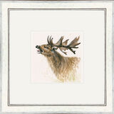 The Rut - Stags Framed Limited Edition Art Print by Kay Johns