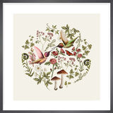 Woodland Hummingbirds Framed Art Print by Tall Boy Prints