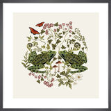 Woodland Frogs Framed Art Print by Tall Boy Prints