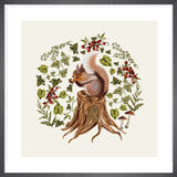 Woodland Squirrel Framed Art Print by Tall Boy Prints