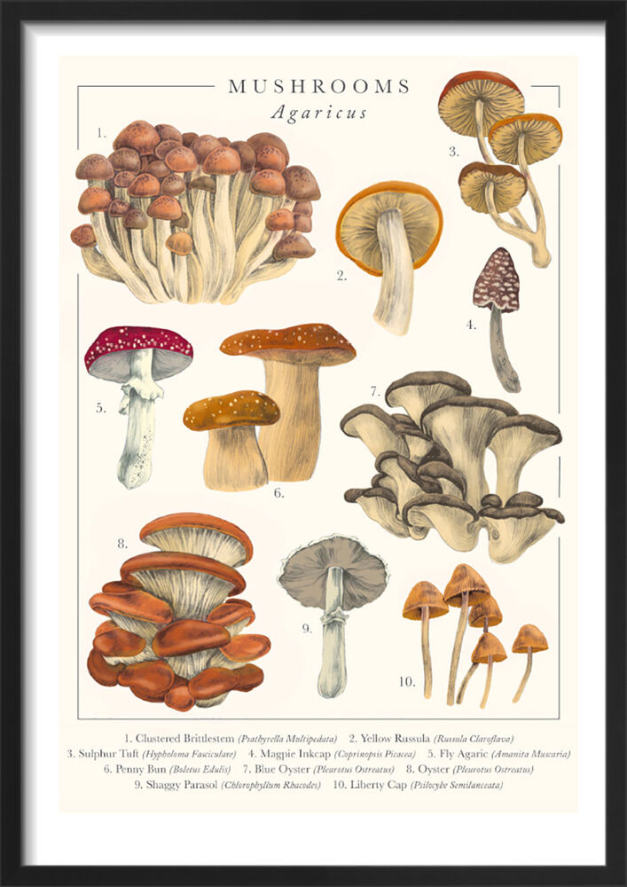 Mushrooms Framed Art Print by Tall Boy Prints