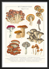 Mushrooms Framed Art Print by Tall Boy Prints