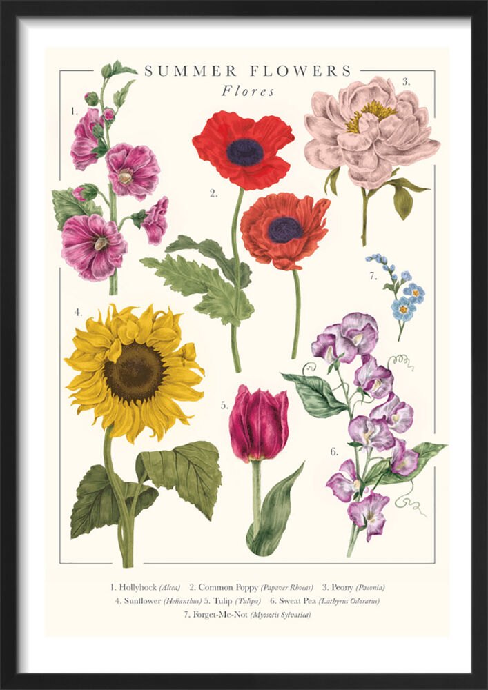 Summer Flowers Framed Art Print by Tall Boy Prints