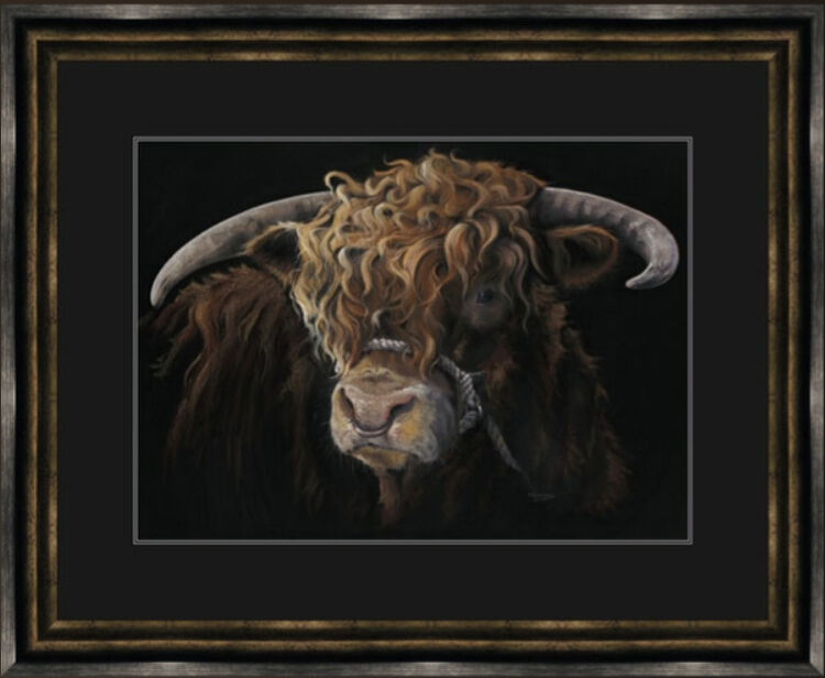 Big Mac - Highland Bull Framed Limited Edition Art Print by Kay Johns