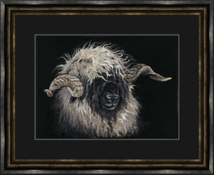 Mr Blacknose - Valais Ram Framed Limited Edition Art Print by Kay Johns