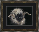 Mr Blacknose - Valais Ram Framed Limited Edition Art Print by Kay Johns