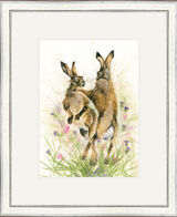Flower Power - Hare Framed Limited Edition Art Print by Kay Johns