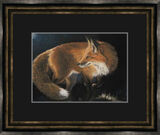 Sly by Night Framed Limited Edition Art Print by Kay Johns