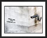 What Are You Looking At Framed Art Print by Anonymous Artist