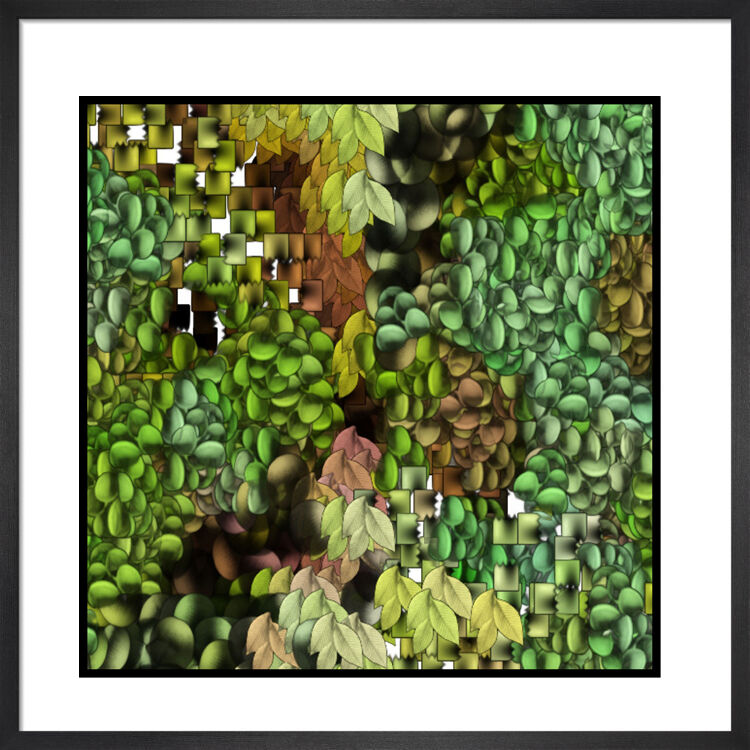 Pods Framed Art Print by Anonymous Artist